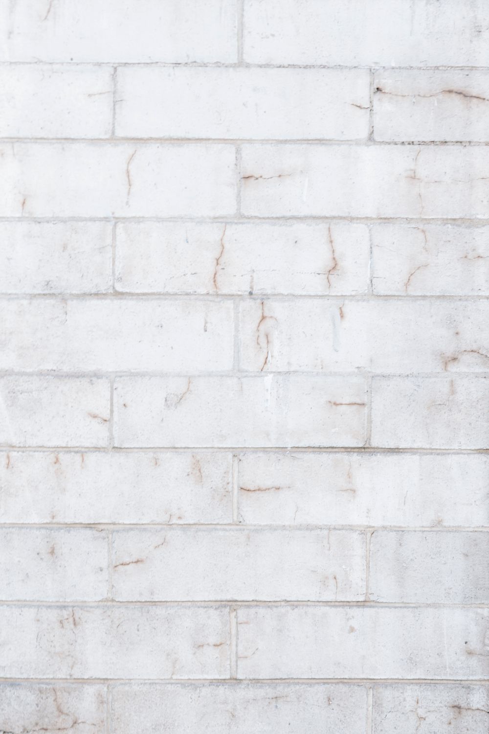 White subway tile